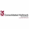Consolidated Hallmark